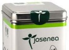Josenea