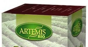 Artemis