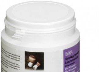 Atena Blazei MRL 500mg 90 comprimidos Atena