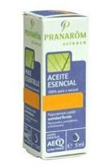 Pranarom