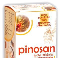 Pinisan