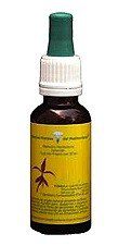 Esencias Florales Mediterraneo Vara de Oro 20ml Esencias Florales Mediterraneo