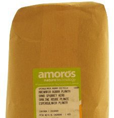 Amoros
