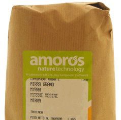 Amoros