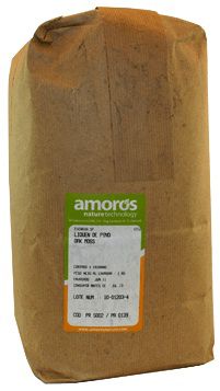 Amoros