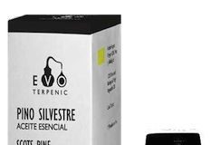 Terpenic labs