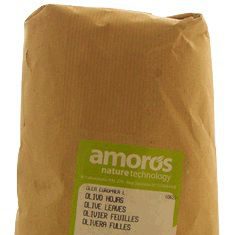Amoros