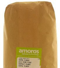 Amoros