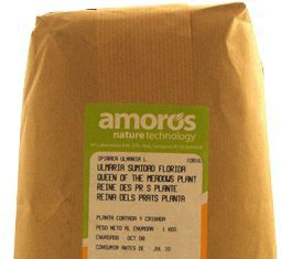 Amoros