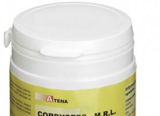 Atena Cordyceps MRL 500mg 90 comprimidos Atena