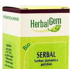 Herbalgem Serbal Macerado Glicerinado 50ml Herbalgem