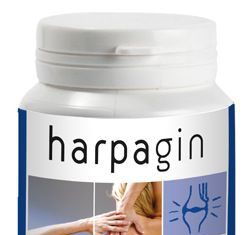 Plameca Harpagin 80 cápsulas Plameca