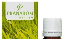 Pranarom
