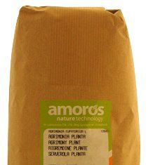Amoros