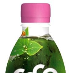 Coco Drink sabor Té Verde y Melocotón Bio 330ml Dr Antonio Martins