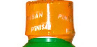 Pinisan