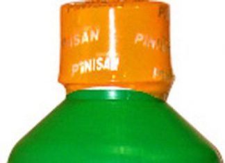 Pinisan