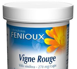 Fenioux