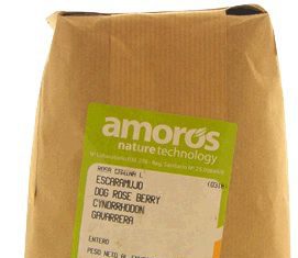 Amoros