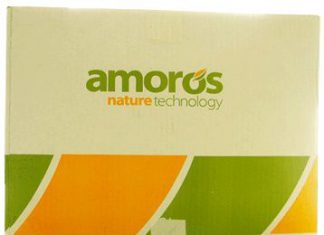 Amoros