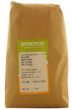 Amoros