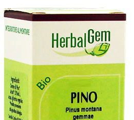 Herbalgem Pino Macerado Glicerinado 50ml Herbalgem