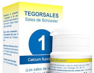 Tegor